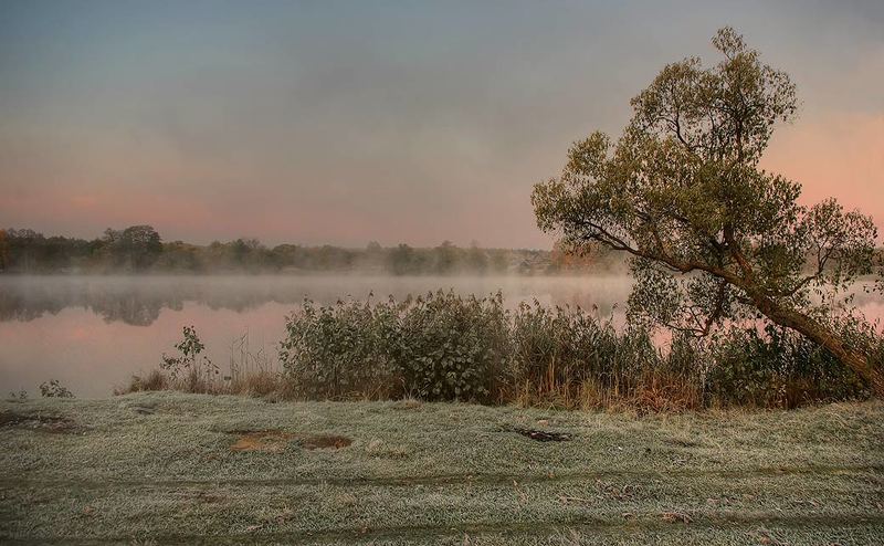 Ива, озеро, туманphoto preview