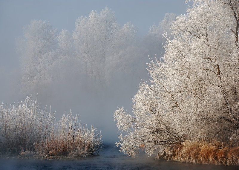 иртыш,иней,мороз Первые заморозкиphoto preview