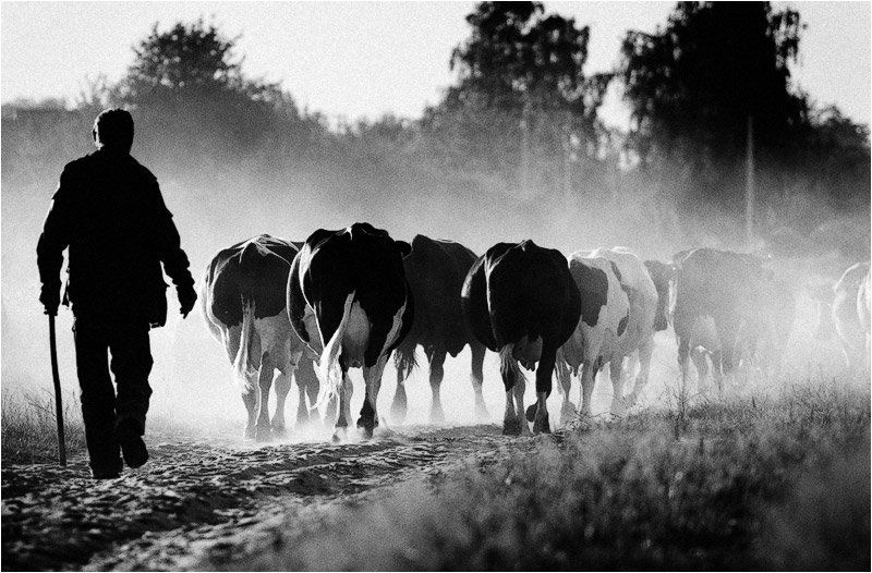 запах летаphoto preview