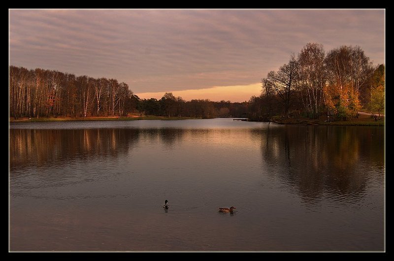 *** Осень - это только время года *** фото превью
