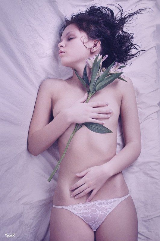 ню Альстромерияphoto preview