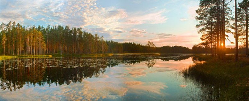 на лесном озереphoto preview