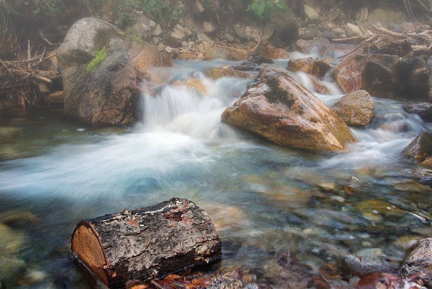Алибек. Утренний ручей.. Автор: Сергей Павлов ручей,туман,вода, Сергей Павлов
