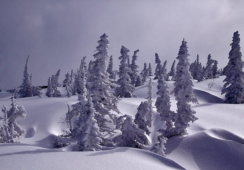 в белых барханахphoto preview