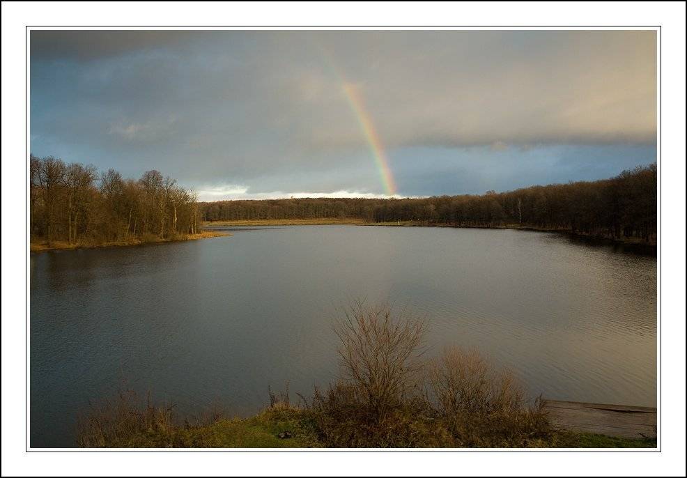 Осенний пейзаж. Автор: remak пейзаж, осень, remak