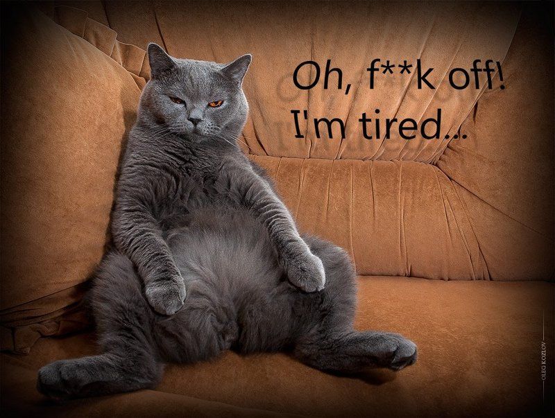 I\'m tired...photo preview