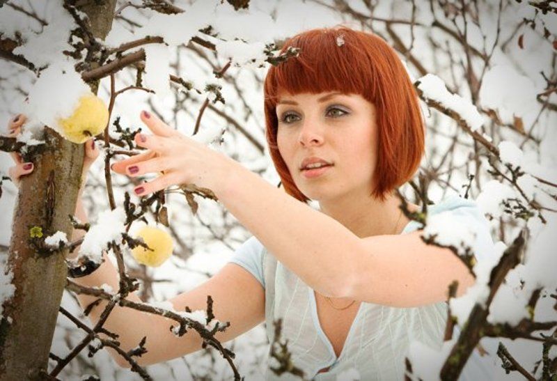 яблоки, зима пора собирать урожай!photo preview