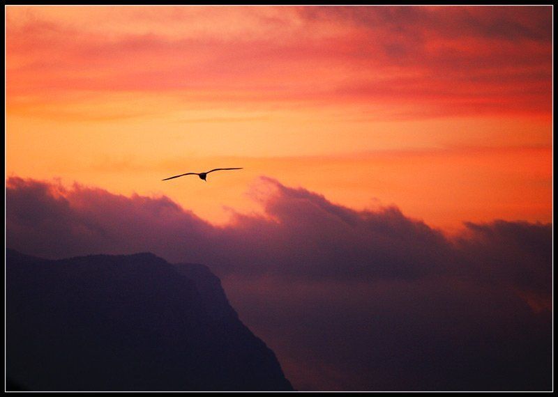 Утромphoto preview