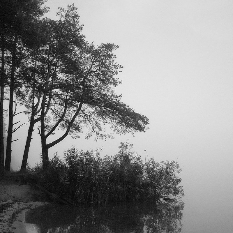 фото_1photo preview