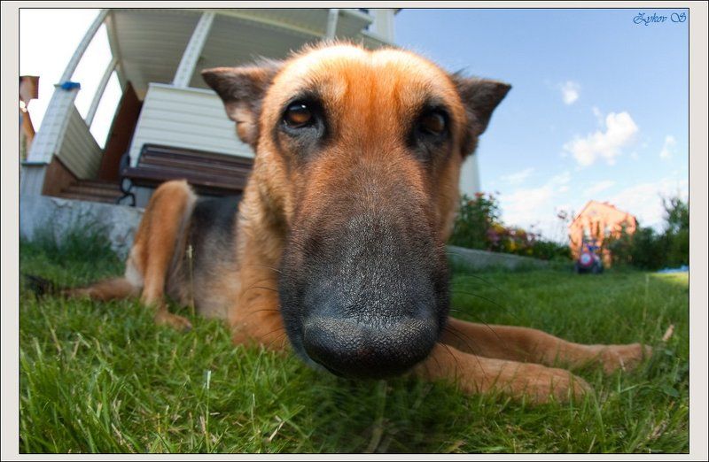 А, это опять ты !?photo preview