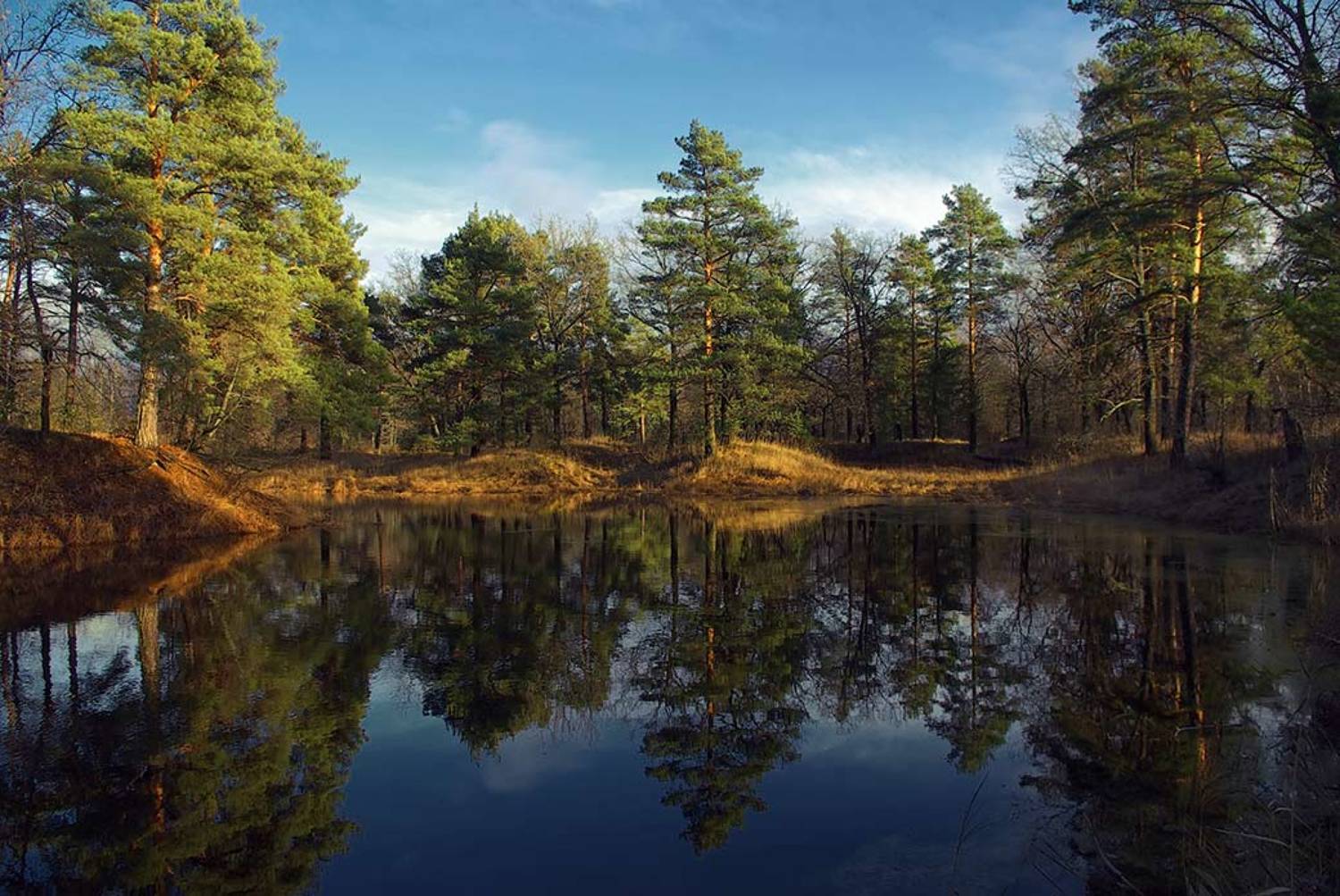 , Вячеслав Довыденков