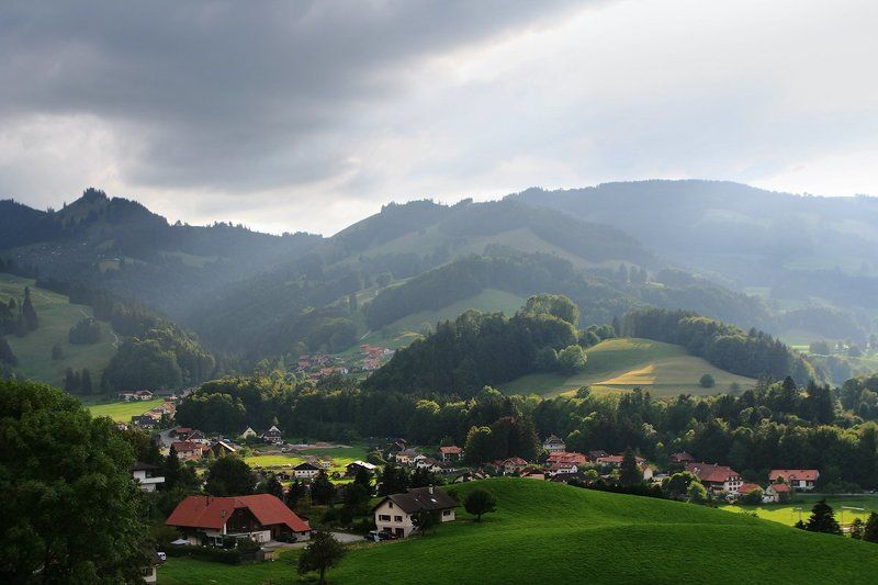 Летний дождьphoto preview