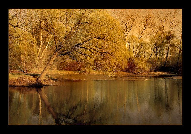 *** Один день в году *** фото превью