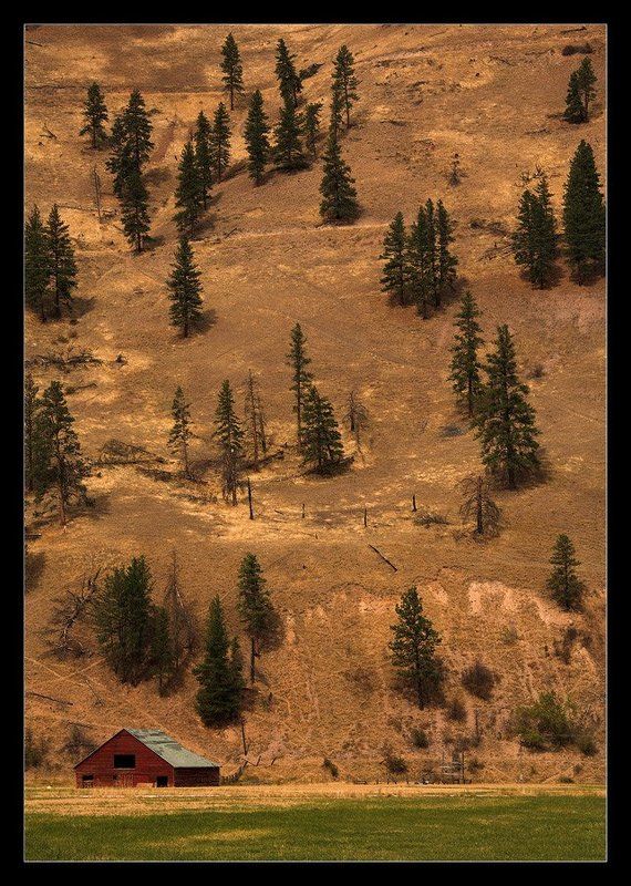 Квартирный вопросphoto preview