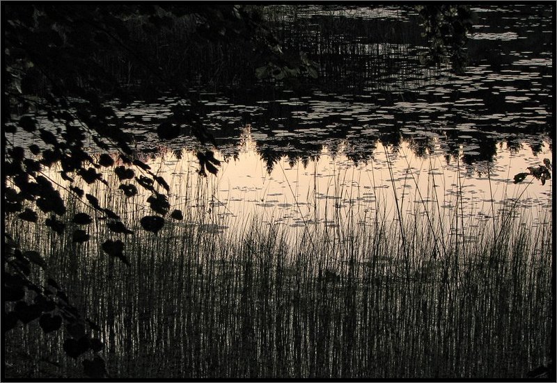 Вечерняя графикаphoto preview