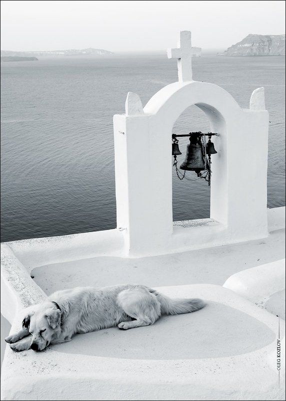 Я тебя никогда не забуду...photo preview