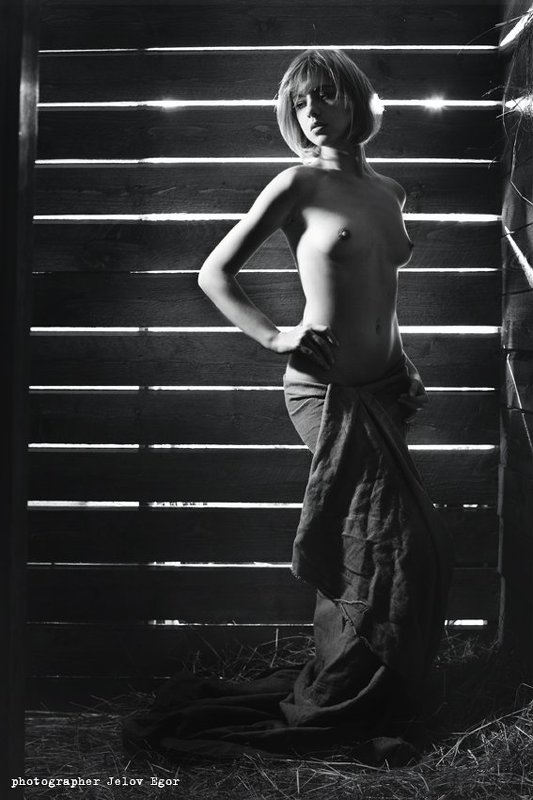 диваphoto preview