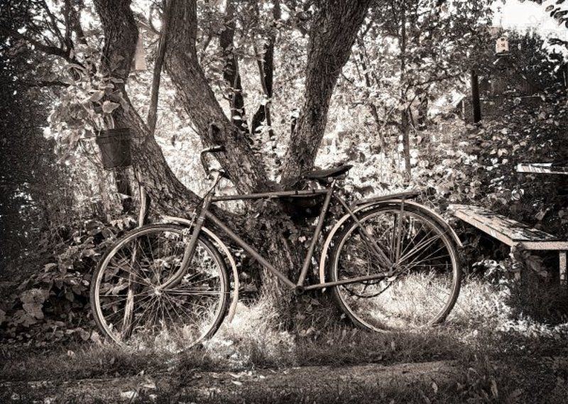 In_my_mind...photo preview