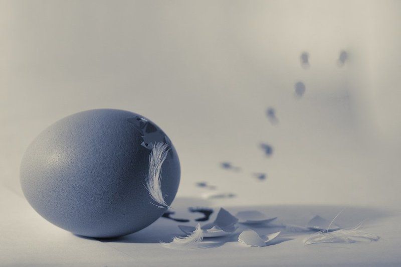 икар, яйцо, рождение, следы Рождение Икараphoto preview