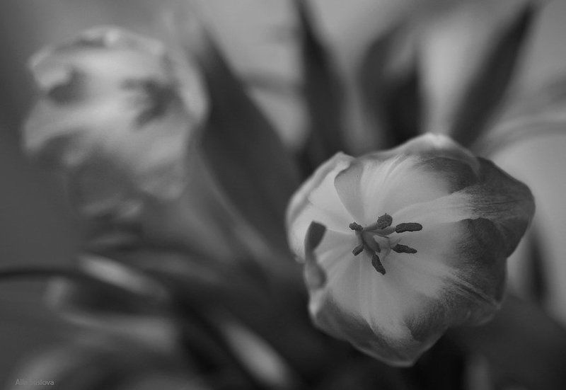 * Мне нравится, что Вы... *photo preview