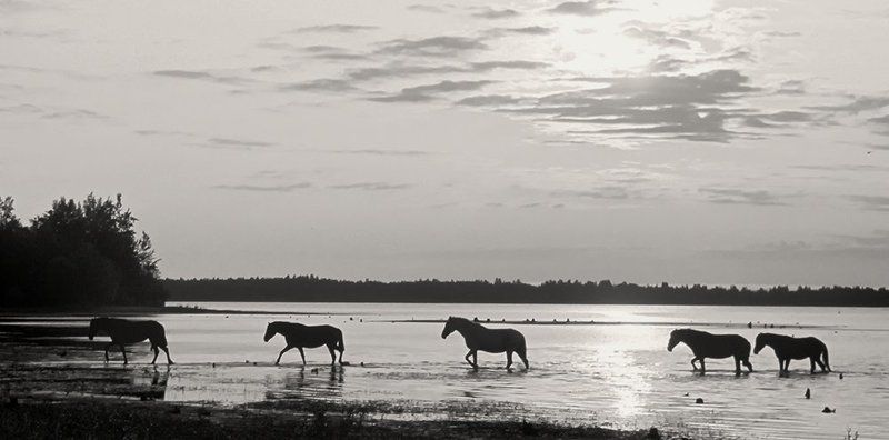 в ночноеphoto preview