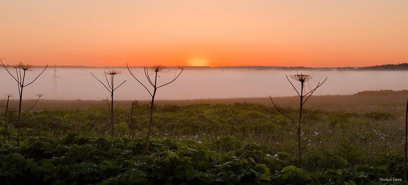 Рассветное море и зонтики...photo preview