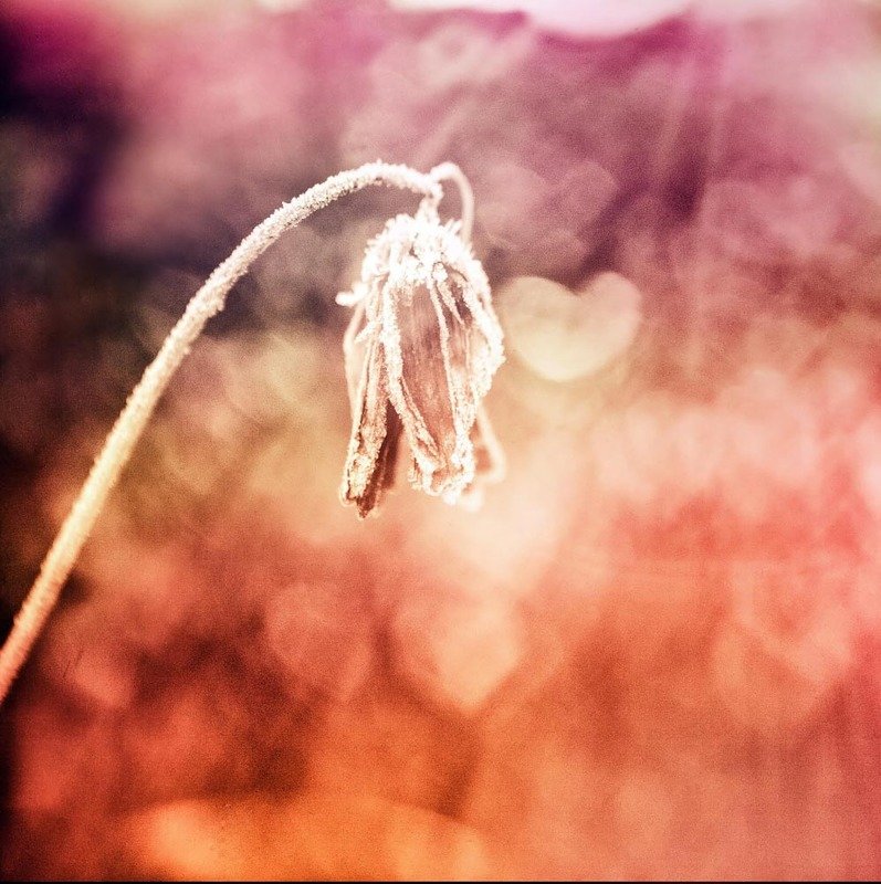 Теплый снегphoto preview