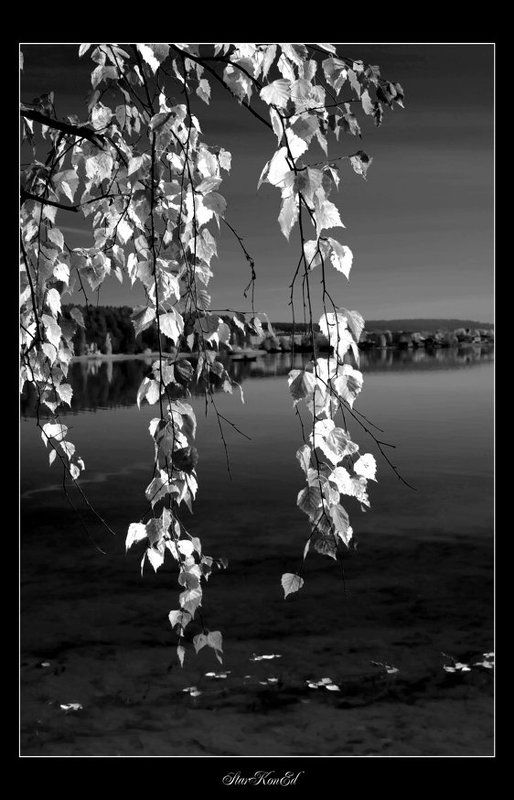 Осенние контрасты **photo preview