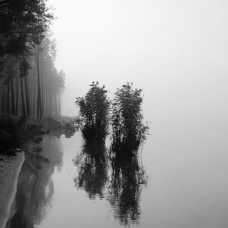 фото_2photo preview