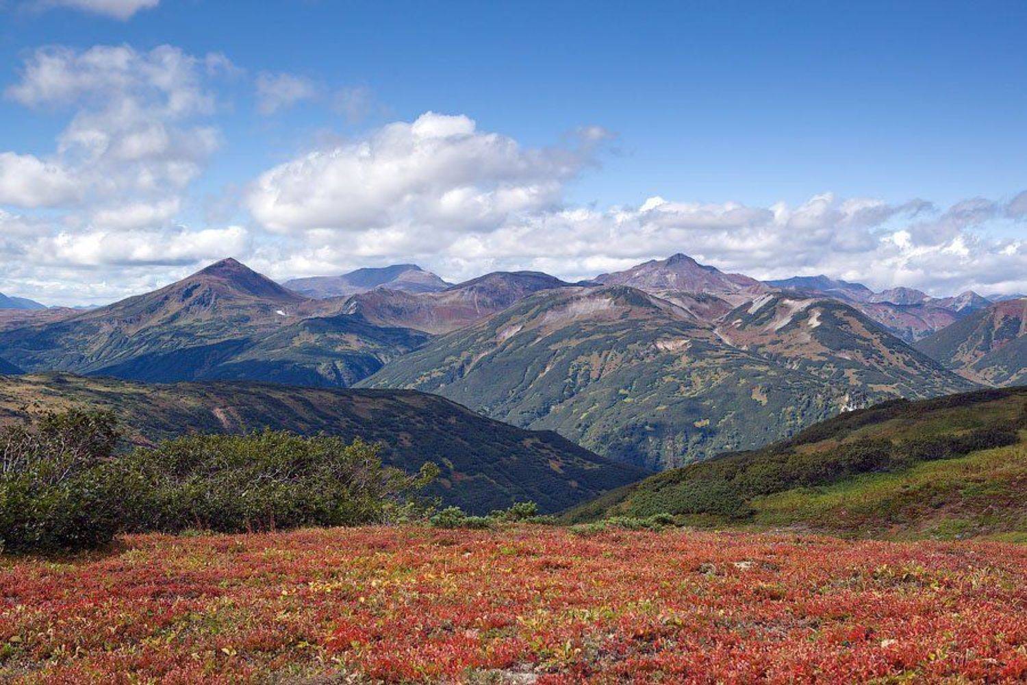 Красное и камуфляж. Автор: Скиталец камчатка, Скиталец