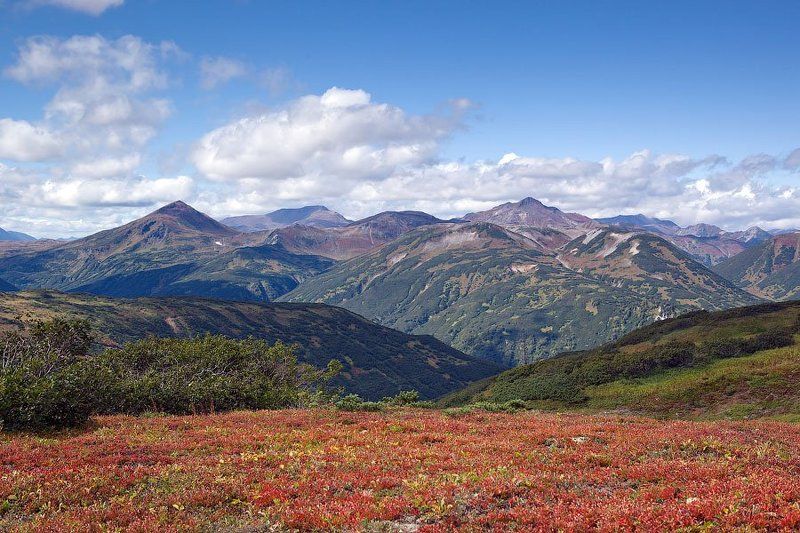 камчатка Красное и камуфляжphoto preview