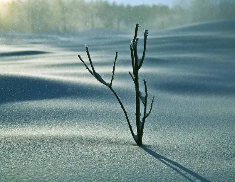 Звуки зимыphoto preview