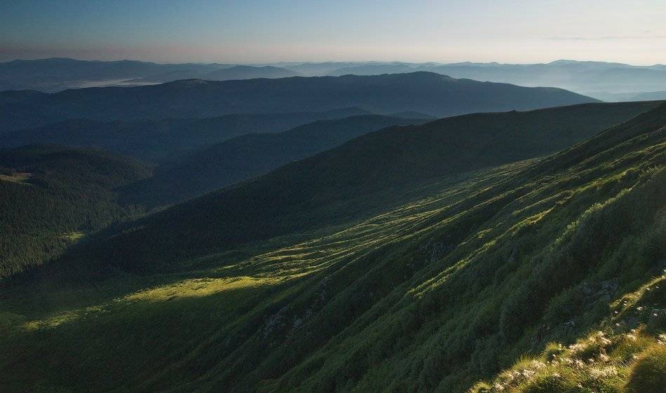 карпаты, природа, пейзаж, горы, панорама, Piligrim