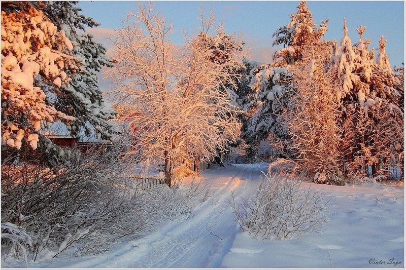 Зимние краскиphoto preview