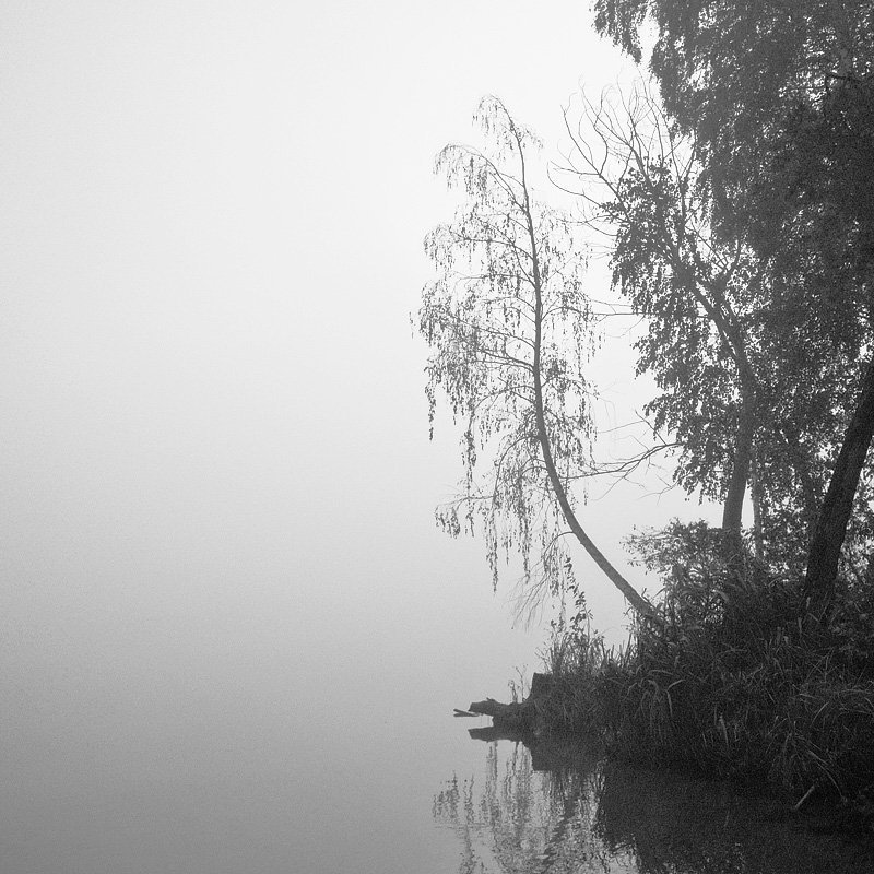 фото_3photo preview