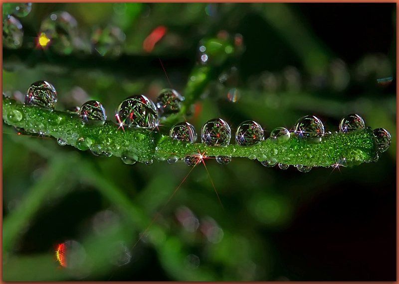 В ожидании Нового года...photo preview