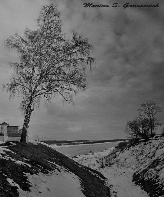 пейзаж, береза, Березаphoto preview