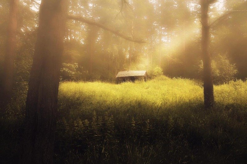 Лесная избушкаphoto preview