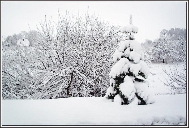 Снега!photo preview