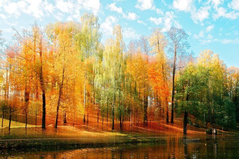 Попытка воспроизведения техники Janusz Tarasphoto preview