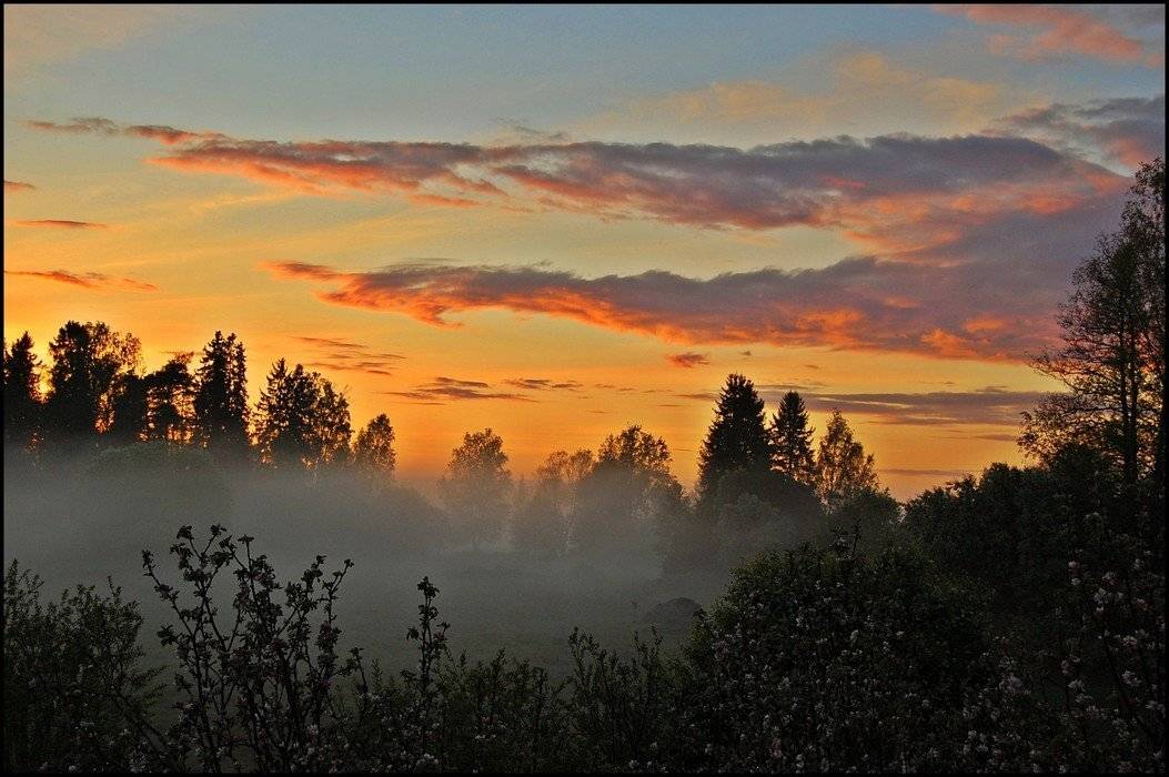 ...крокодил, наше солнце проглотил. (по К.Чуковскому). Автор: Елена , Елена