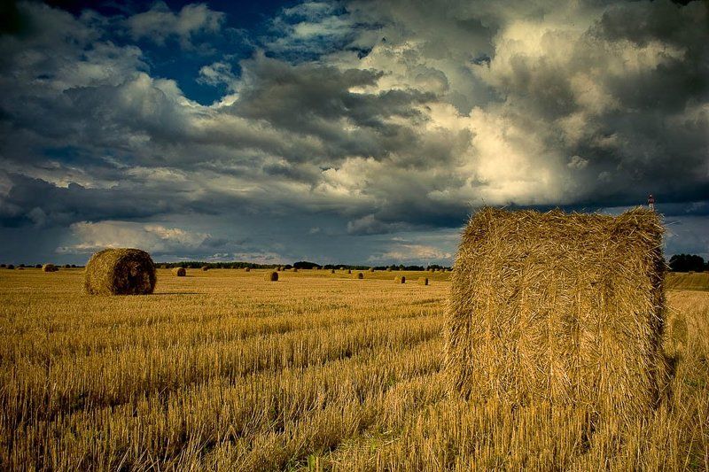 поля, сено, тюки. осень на пороге осеньphoto preview