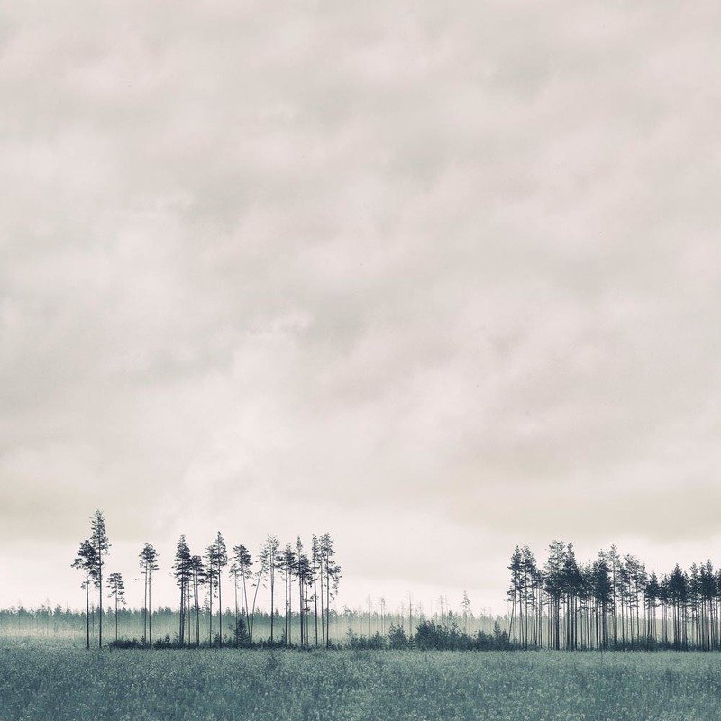 Стойкиеphoto preview