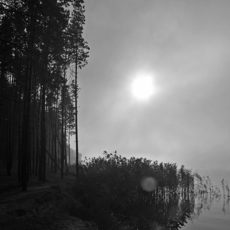 фото_5photo preview