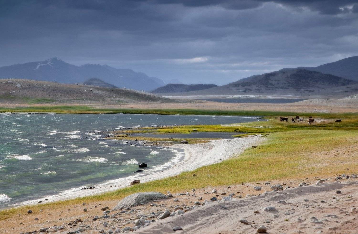 МОНГОЛЬСКАЯ ПАСТОРАЛЬНАЯ.... Автор: Yuri Ovchinnikov , Yuri Ovchinnikov