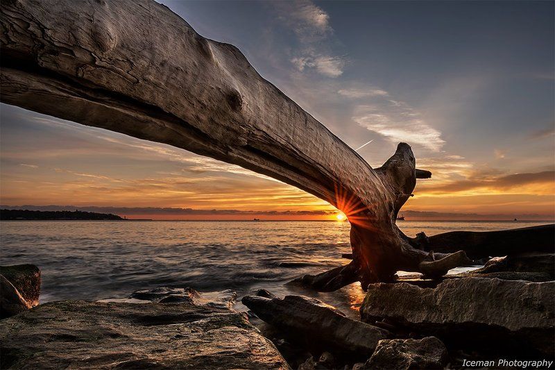 Утромphoto preview