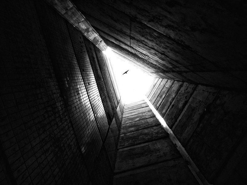 Пролетая над гнездом человекаphoto preview