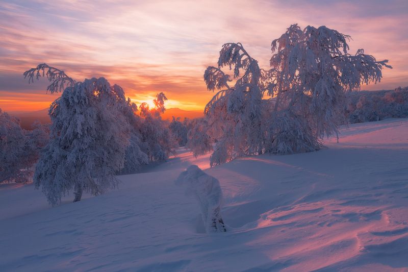 Один лишь мигphoto preview