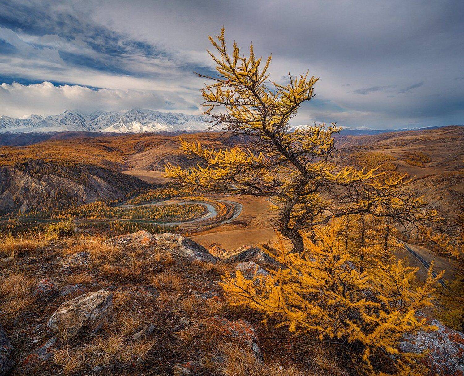 Алтайские этюды ...икебана номер два.... Автор: izhDiletant (Валерий Щербина) , izhDiletant (Валерий Щербина)