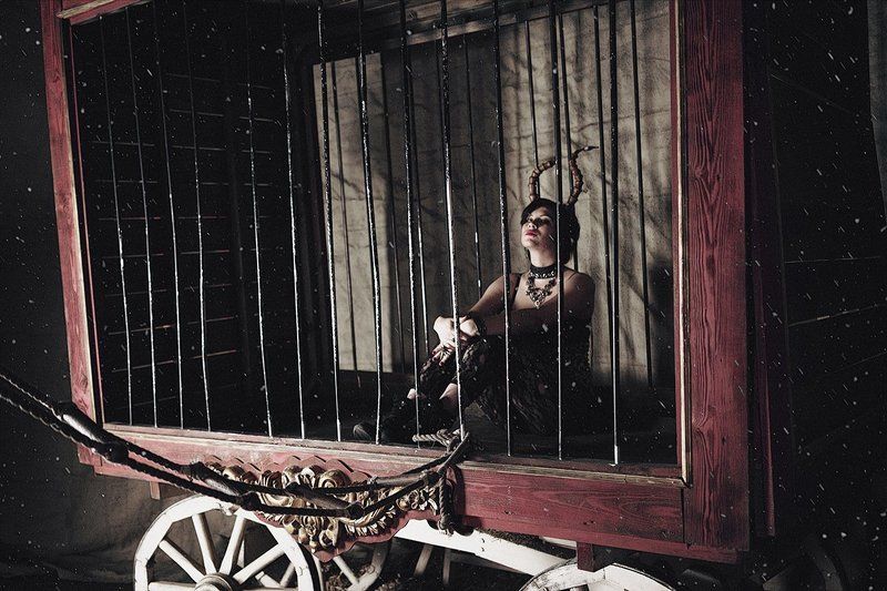 цирк, circus, dark Dark Circusphoto preview